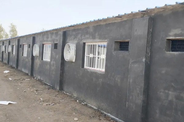 盖猪舍用什么材料可以省钱,墙体可以使用土、砖等材料