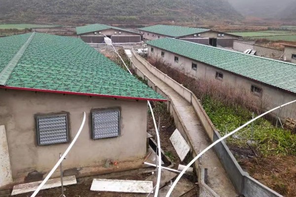 盖猪舍用什么材料可以省钱,墙体可以使用土、砖等材料