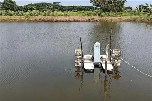 鱼塘下雨后死鱼的原因，可能是水体恶化所致