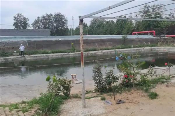 鱼塘下雨后死鱼的原因，可能是水体恶化所致
