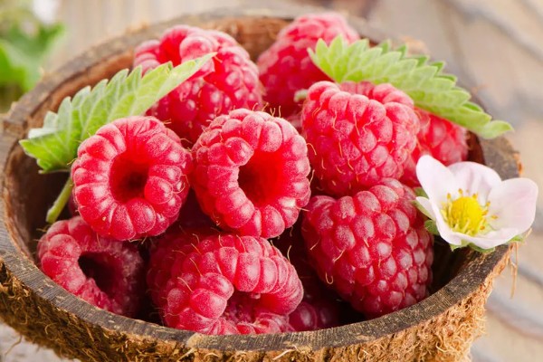 树莓是什么，是一种水果