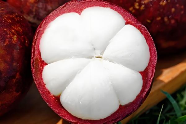 山竹的寓意，寓意真心喜欢