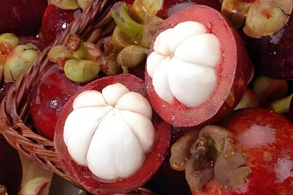 山竹的寓意，寓意真心喜欢