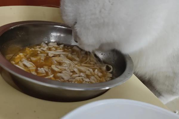 简单自制猫饭，原材料包括鸡胸肉、鸡蛋液、土豆等