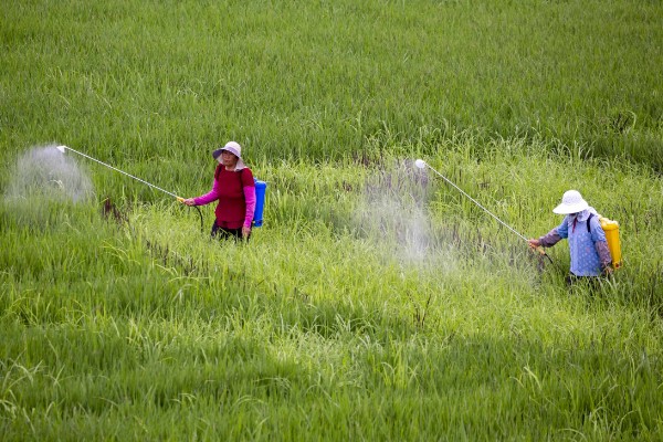 氟虫腈对人有害吗，对人体是有害的