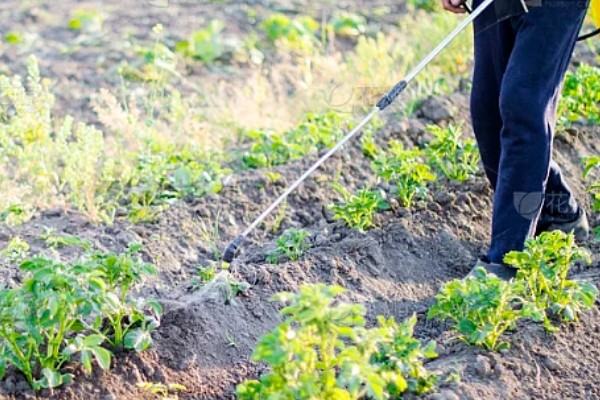 氟虫腈对人有害吗，对人体是有害的