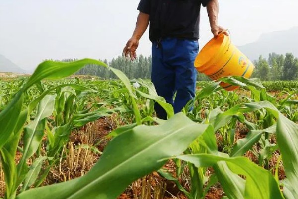 氟虫腈对人有害吗，对人体是有害的