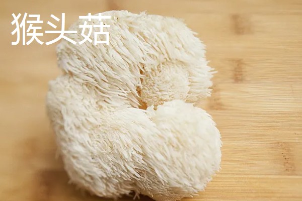 食用菌有什么种类，常见香菇、金针菇等品种