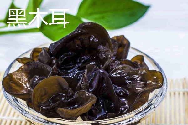 食用菌有什么种类，常见香菇、金针菇等品种