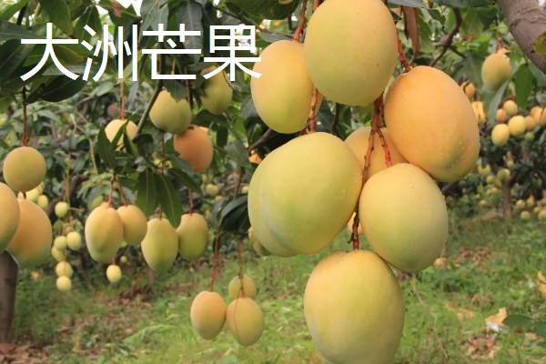 广东省惠东县的特产,平海酥鱼深受当地人喜爱