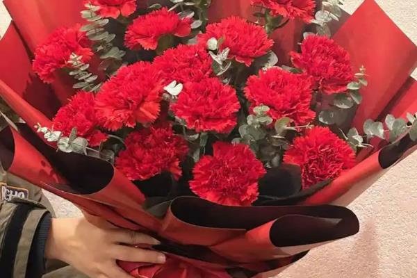 康乃馨的花语，寓意任性不羁等