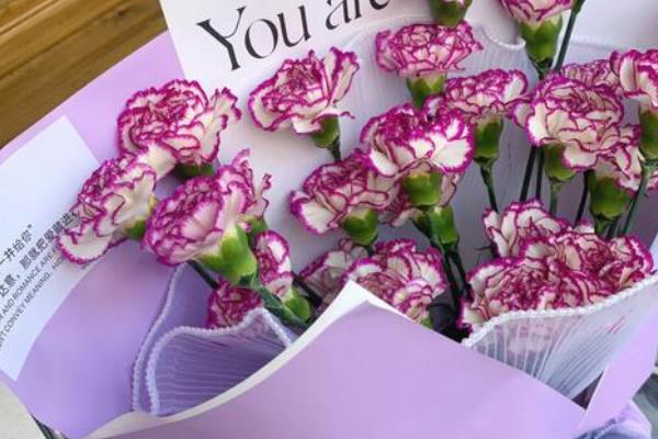 康乃馨的花语，寓意任性不羁等