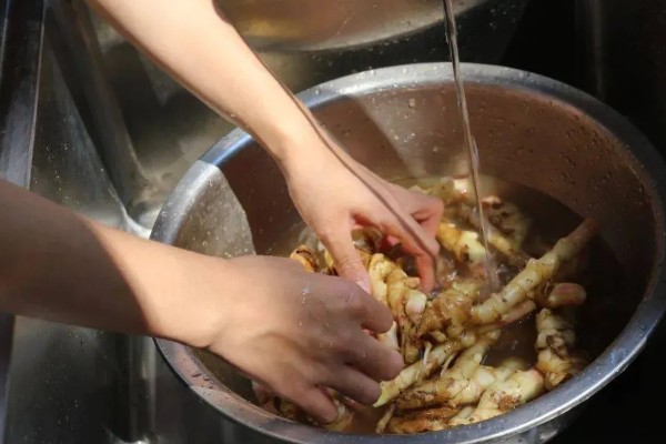 生姜死苗烂根怎么办，可浇灌甲基硫菌灵可湿性粉剂