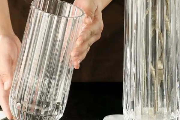 怎么养殖杜鹃花枝，选择生长健壮的杜鹃枝条养殖