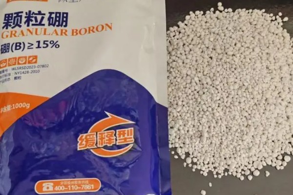 硼肥如何使用效果好，应多次喷施为好