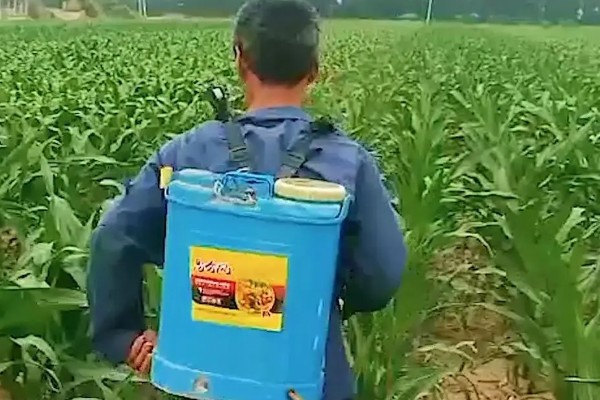 硼肥如何使用效果好，应多次喷施为好