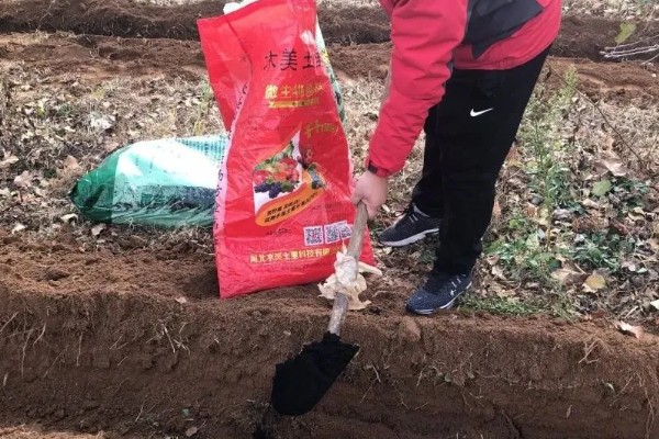 硼肥如何使用效果好，应多次喷施为好