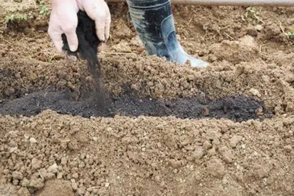 硼肥如何使用效果好，应多次喷施为好