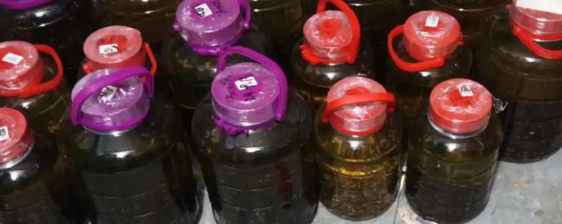 虎头蜂100只泡多少酒，因蜂种不同而不同