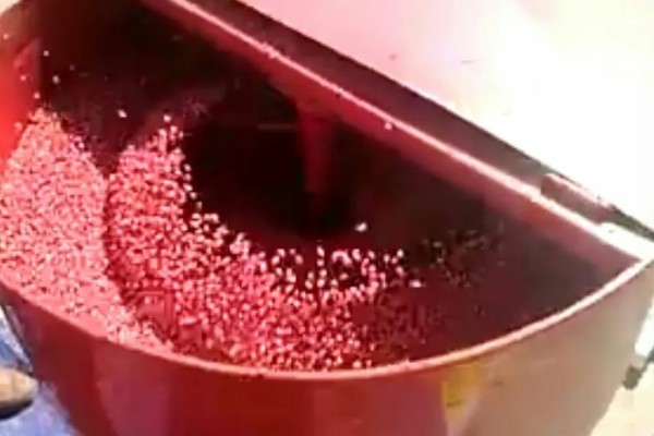 小麦不拌种直接播种可以吗，直接播种是可以的