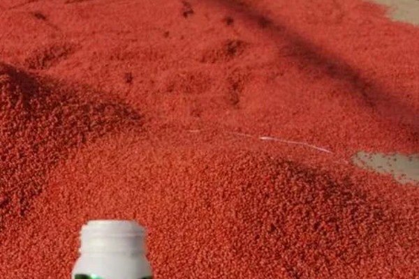 小麦不拌种直接播种可以吗，直接播种是可以的