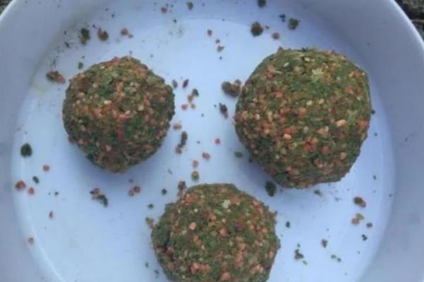 春季野钓鲫鱼的技巧，首选钓位是水草区