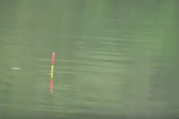钓鲢鳙浮漂走水如何处理,可更换吃铅量大的浮漂
