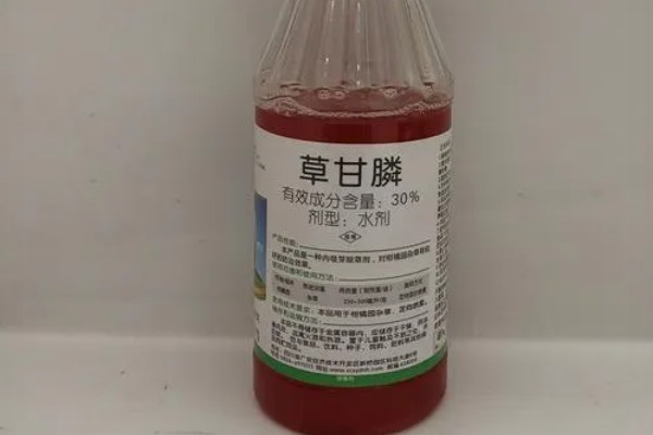 打了草甘膦的地敢不敢种,是可以种植作物的