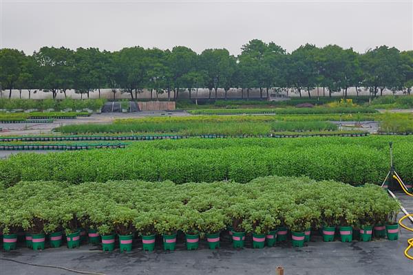 3到4级风可以打药吗,通常不可打药
