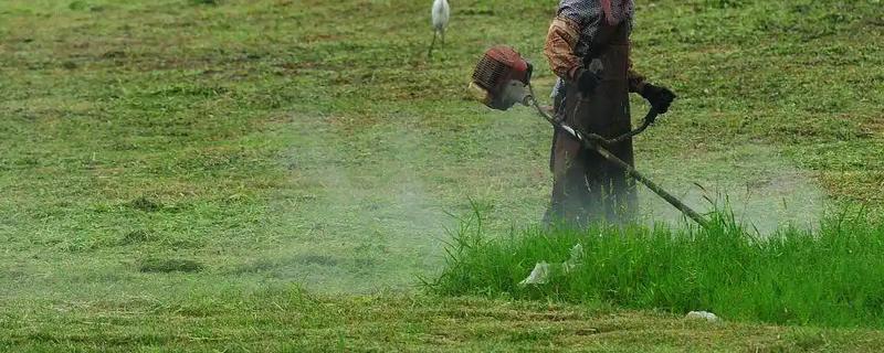 松喹氟磺胺会不会影响下茬作物，下茬种植小麦、大麦等作物容易出现药害