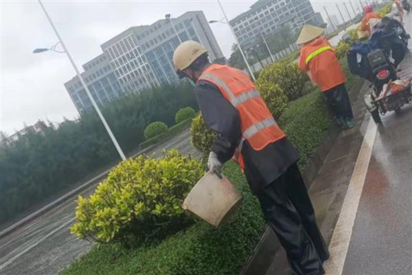 长效碳铵怎么使用,以下7种方式均可采取