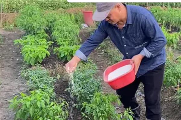 长效碳铵怎么使用,以下7种方式均可采取