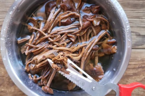 茶树菇怎么泡发,先剪去柄尾端的硬蒂
