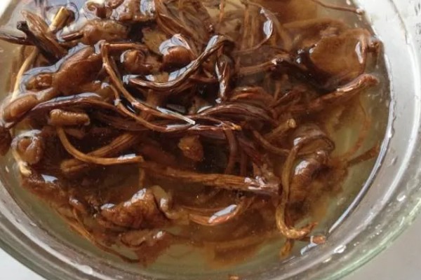 茶树菇怎么泡发,先剪去柄尾端的硬蒂