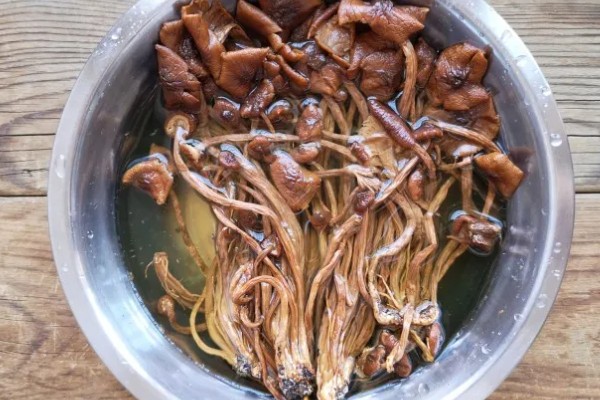 茶树菇怎么泡发,先剪去柄尾端的硬蒂
