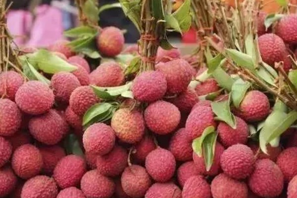 荔枝的保鲜方式，在1-9℃的低温环境中可保存30天左右