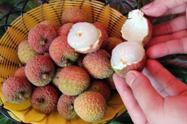 荔枝的保鲜方式，在1-9℃的低温环境中可保存30天左右
