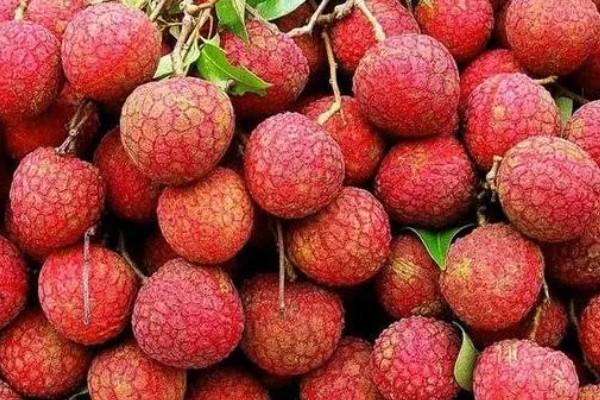 荔枝的保鲜方式，在1-9℃的低温环境中可保存30天左右