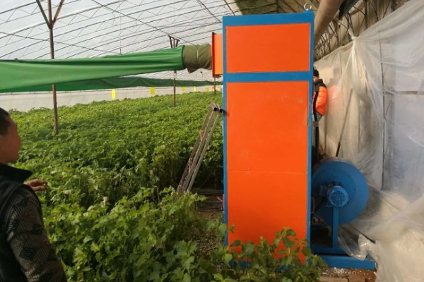 蔬菜怎么用低碳防治害虫,可以以死虫治活虫