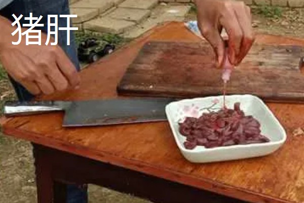 钓鱼适合用猪肝还是蚯蚓，取决于目标鱼的品种