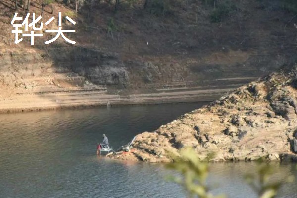 钓鱼适合用猪肝还是蚯蚓，取决于目标鱼的品种