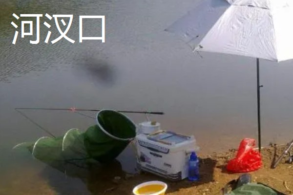 钓鱼适合用猪肝还是蚯蚓，取决于目标鱼的品种