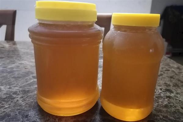 龙眼蜜和荔枝蜜哪个更贵,价格不相上下