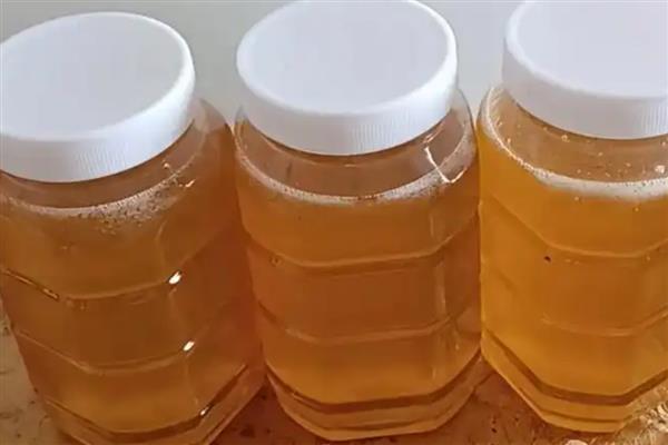 龙眼蜜和荔枝蜜哪个更贵,价格不相上下