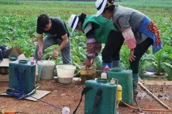 配制使用农药要注意什么，不能用污水、井水配药