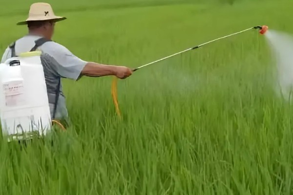 配制使用农药要注意什么，不能用污水、井水配药