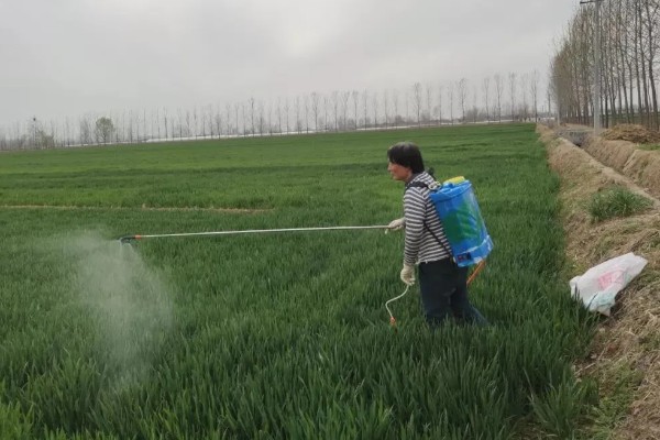 配制使用农药要注意什么，不能用污水、井水配药