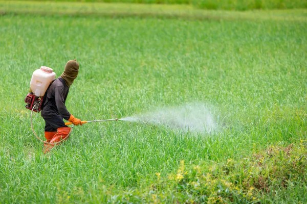 配制使用农药要注意什么，不能用污水、井水配药