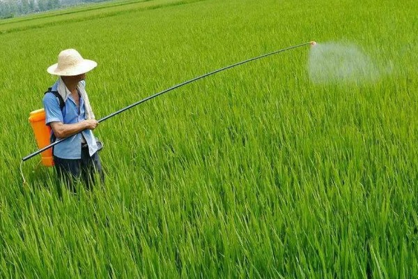 配制使用农药要注意什么，不能用污水、井水配药