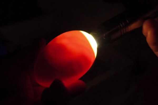 孵化鹅蛋照蛋几天能看见血丝，10天左右就可以